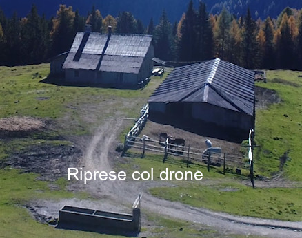 Filmati col drone